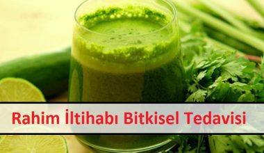 Rahim İltihabı Bitkisel Tedavisi Rahim İltihabı Bitkisel Tedavisi
