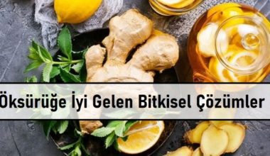 Öksürüğe İyi Gelen Bitkisel Çözümler Öksürüğe İyi Gelen Bitkisel Çözümler