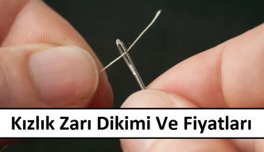 Kızlık Zarı Dikimi Ve Fiyatları Kızlık Zarı Dikimi Ve Fiyatları