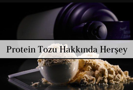 Protein Tozu Hakkında Herşey