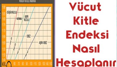 Vücut Kitle Endeksi Nasıl Hesaplanır Vücut Kitle Endeksi Nasıl Hesaplanır