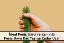 İdeal Penis Boyu ve Kalınlığı Penis Boyu Kaç Yaşına Kadar Uzar