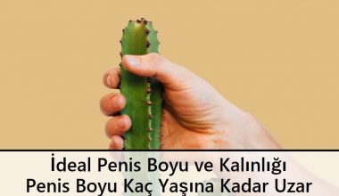 İdeal Penis Boyu ve Kalınlığı | Penis Boyu Kaç Yaşına Kadar Uzar İdeal Penis Boyu ve Kalınlığı | Penis Boyu Kaç Yaşına Kadar Uzar