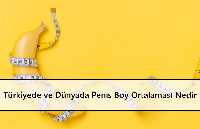 Türkiyede ve Dünyada Penis Boy Ortalaması Nedir 