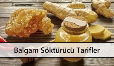 Balgam Söktürücü Tarifler Balgam Söktürücü Tarifler
