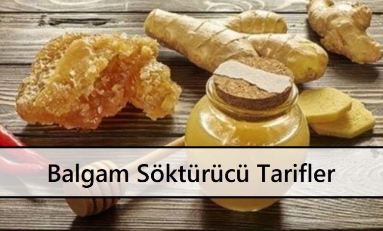 Balgam Söktürücü Tarifler 1 Balgam Söktürücü Tarifler