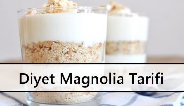 Diyet Magnolia Tarifi Diyet Magnolia Tarifi