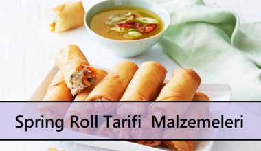 Spring Roll Tarifi | Malzemeleri Spring Roll Tarifi | Malzemeleri