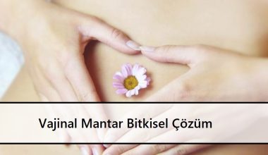 Vajinal Mantar Bitkisel Çözüm Vajinal Mantar Bitkisel Çözüm