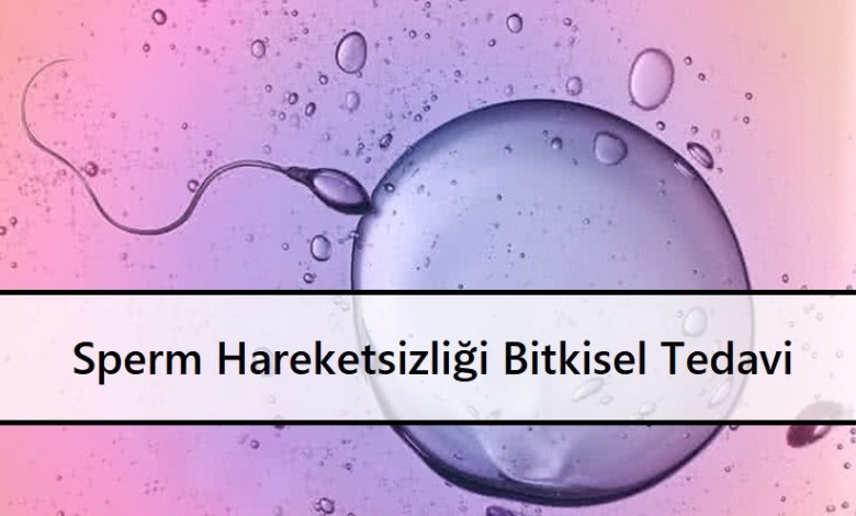 Sperm Hareketsizliği Bitkisel Tedavi