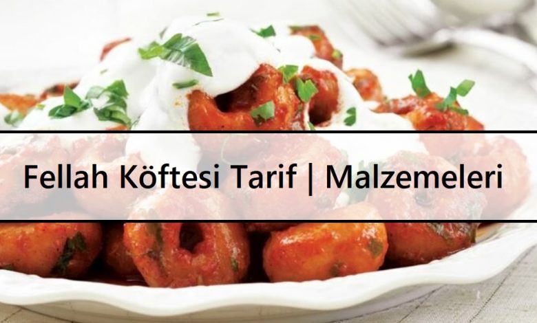 Fellah Köftesi Tarif  Malzemeleri ve Yapım Aşamaları