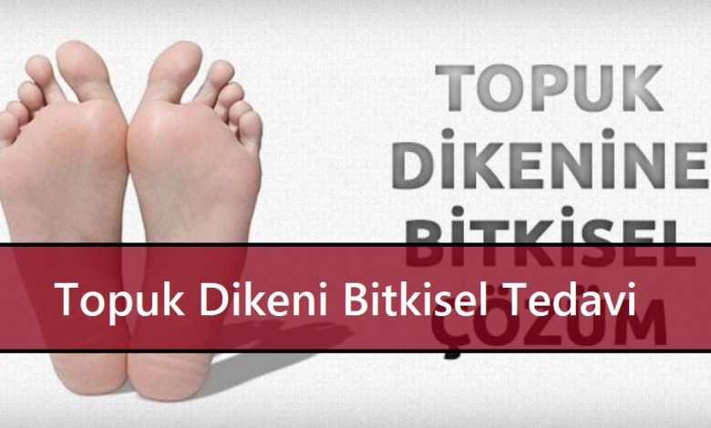 Topuk Dikeni Bitkisel Tedavi