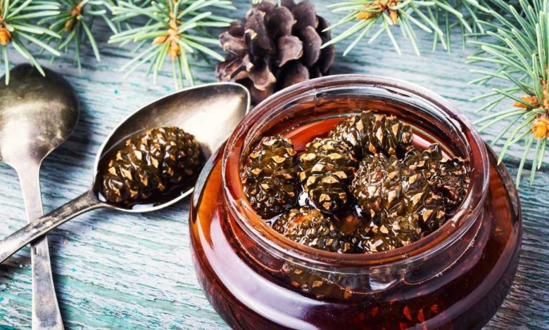 Çam Kozalağı Pekmezi Nelere İyi Gelir, Nasıl Yapılır? 1 Cam Kozalagi Pekmezi Nelere Iyi Gelir Nasil Yapilir