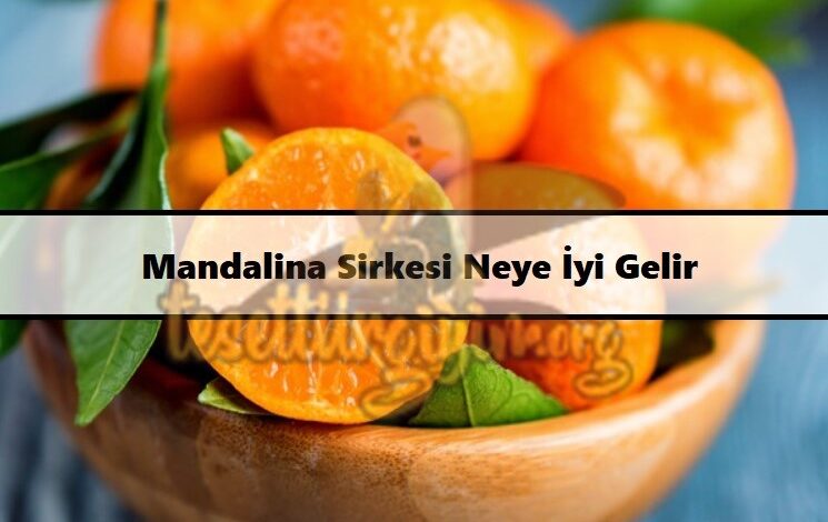 Mandalina Sirkesi Neye İyi Gelir