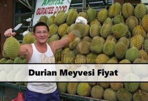 Durian Meyvesi Fiyat