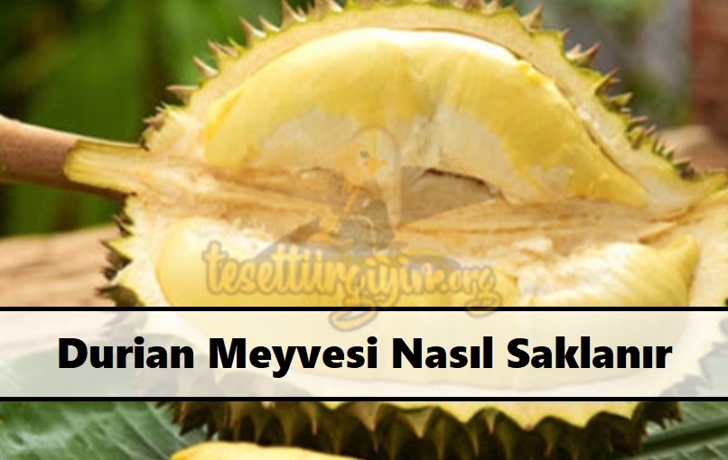 Durian Meyvesi Nasıl Saklanır