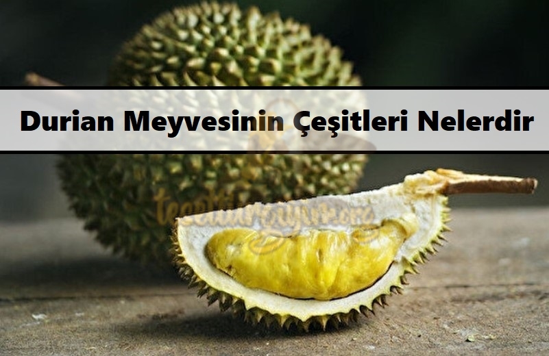 Durian Meyvesinin Çeşitleri Nelerdir