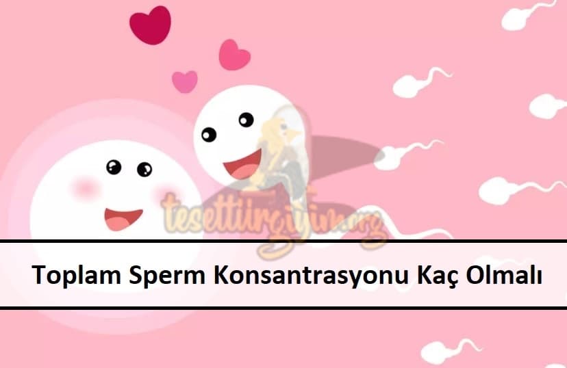Toplam Sperm Konsantrasyonu Kaç Olmalı
