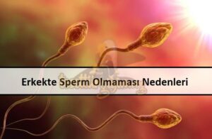 Erkekte Sperm Olmaması Nedenleri