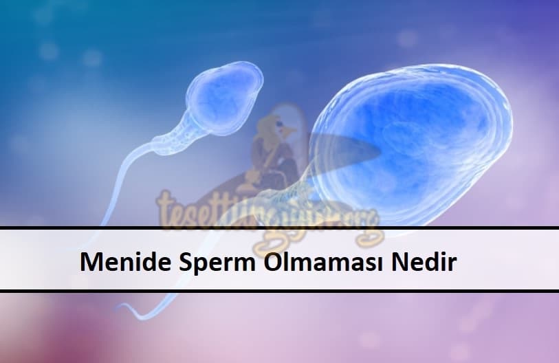 Menide Sperm Olmaması Nedir