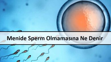 Menide Sperm Olmamasina Ne Denir