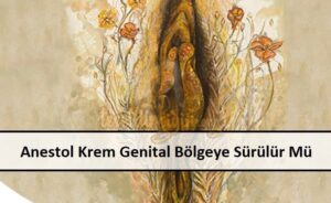 Anestol Krem Genital Bölgeye Sürülür Mü