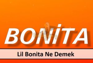 Lil Bonita Ne Demek