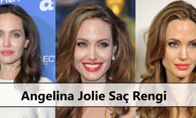 Angelina Jolie Sac Rengi ana